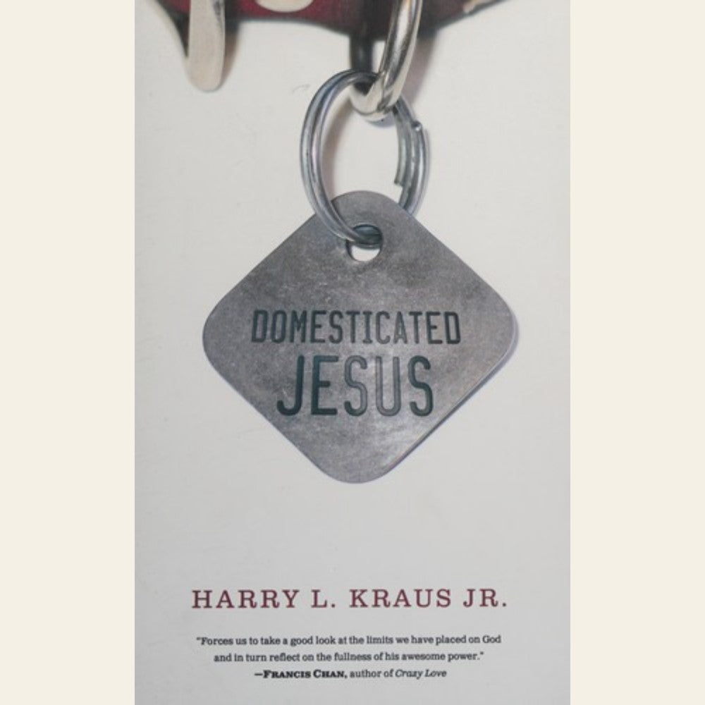 Domesticated Jesus
