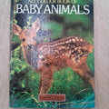 All Colour Book of Baby Animals