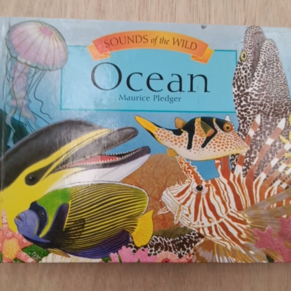 Ocean